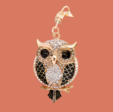 Adorable Crystal Owl Keychain Rhinestone Bird Charm with Big Jewelry Gifting