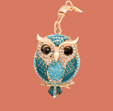 Adorable Crystal Owl Keychain Rhinestone Bird Charm with Big Jewelry Gifting