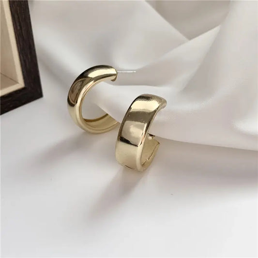 Elegant Hoop Dangle Earrings – S925 Sterling Silver for Women